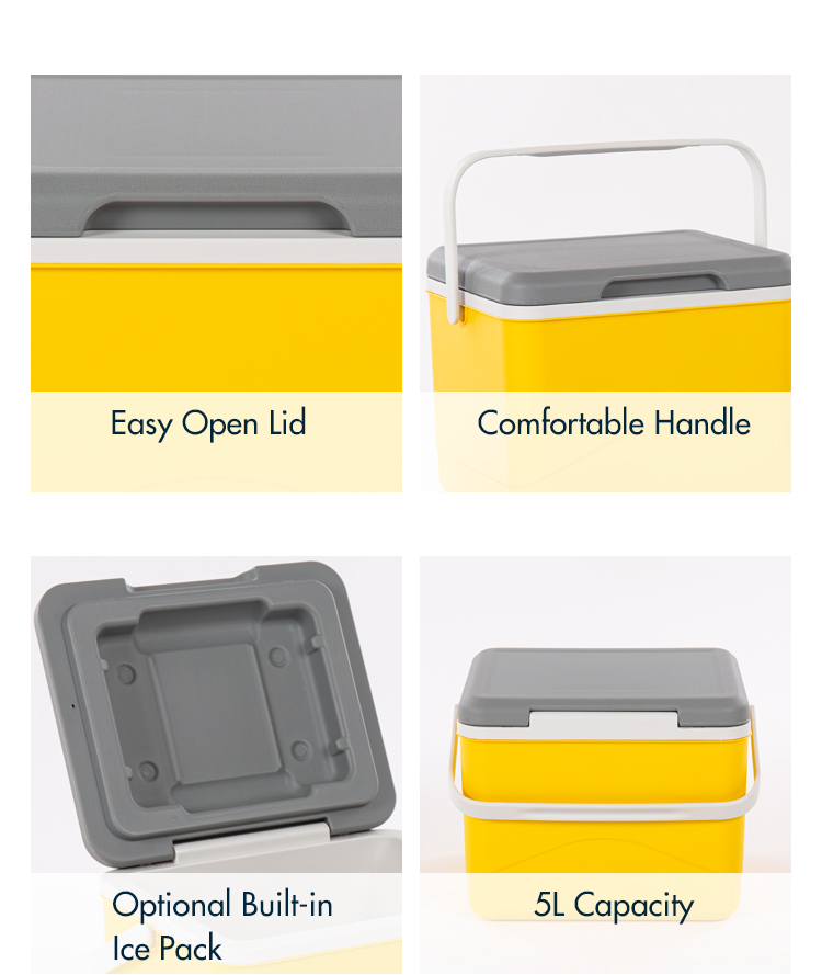 IceMaster Patented Design 5l 6cans Wholesale Cooler Beige Green Brown White Yellow Small Ice Chest Cool Box
