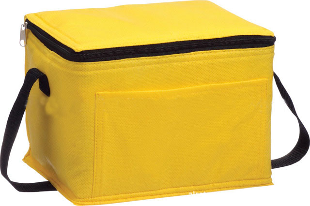 PP Non Woven Foam Composite Tote Waterproof Cooler Picnic Lunch Box Bag Custom Logo Ice Pack Insulated 20L Letter Pattern Zipper