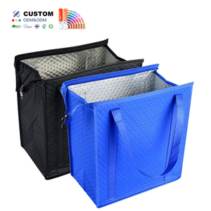 Reusable Foldable Insulated Lunch Cooler Bag