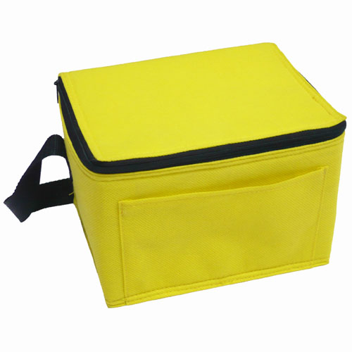 PP Non Woven Foam Composite Tote Waterproof Cooler Picnic Lunch Box Bag Custom Logo Ice Pack Insulated 20L Letter Pattern Zipper