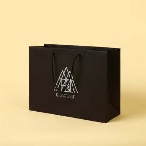 Recyclable Biodegradable Europe Shopping Luxury Gift Paper Bags