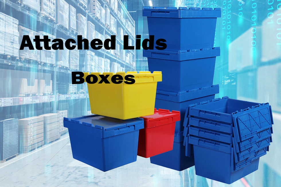 Product Display 1