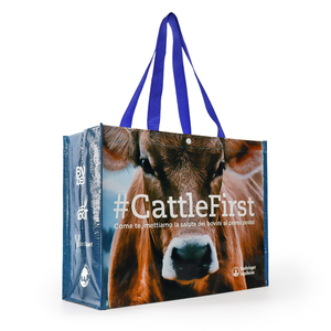 Custom Reusable Grocery Personalized Eco Friendly Non Woven Handled Shopping PP