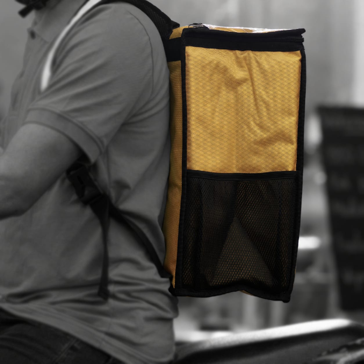 OEM thermal cooler and cold chain bags