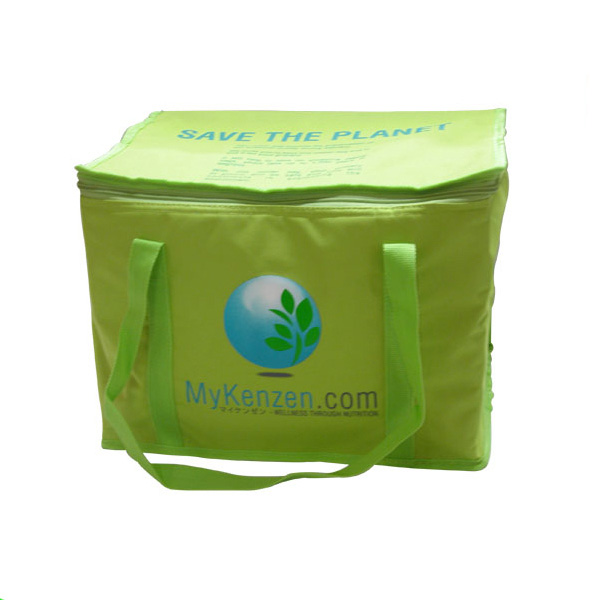 PP Non Woven Foam Composite Tote Waterproof Cooler Picnic Lunch Box Bag Custom Logo Ice Pack Insulated 20L Letter Pattern Zipper