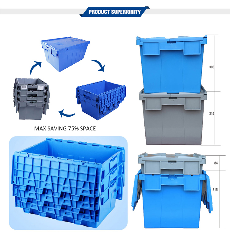 Product Detail 2