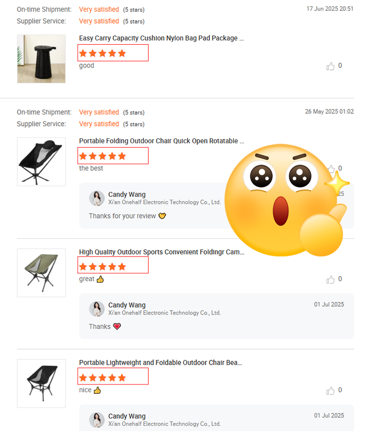 Customer Reviews Overview