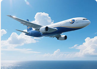 DDP By Air