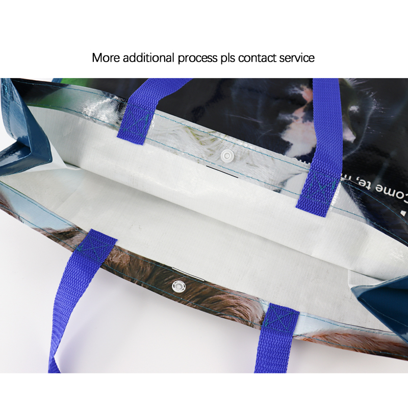 Custom Reusable Grocery Personalized Eco Friendly Non Woven Handled Shopping PP 120gsm 140gsm PP Woven Tote Bag