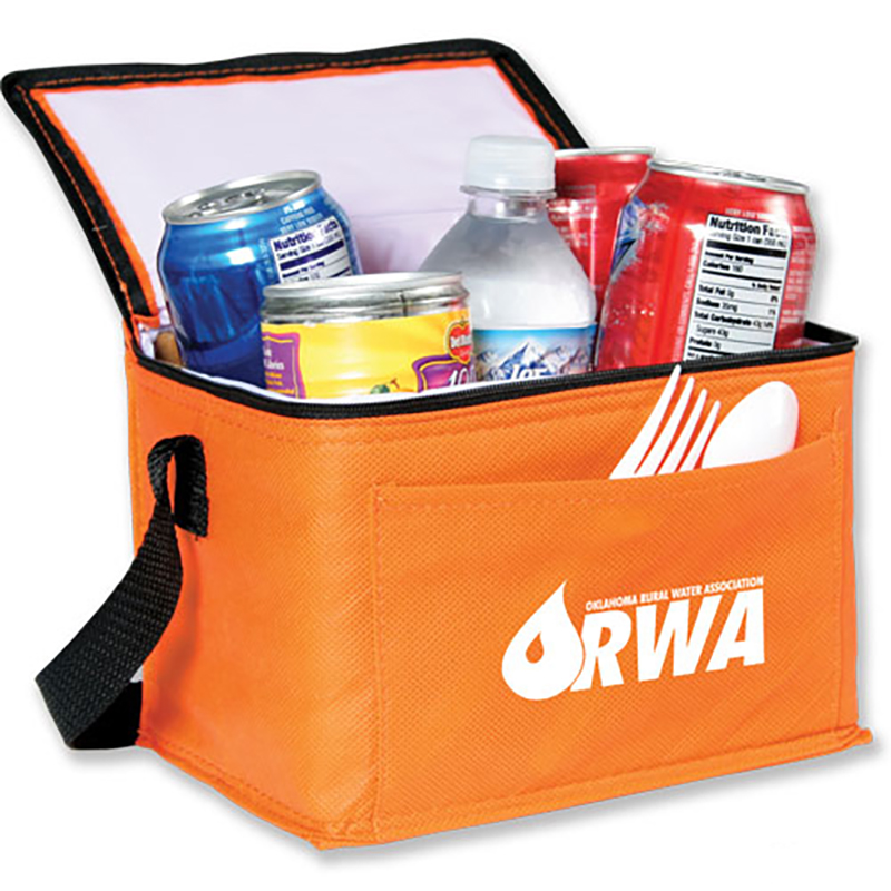 PP Non Woven Foam Composite Tote Waterproof Cooler Picnic Lunch Box Bag Custom Logo Ice Pack Insulated 20L Letter Pattern Zipper