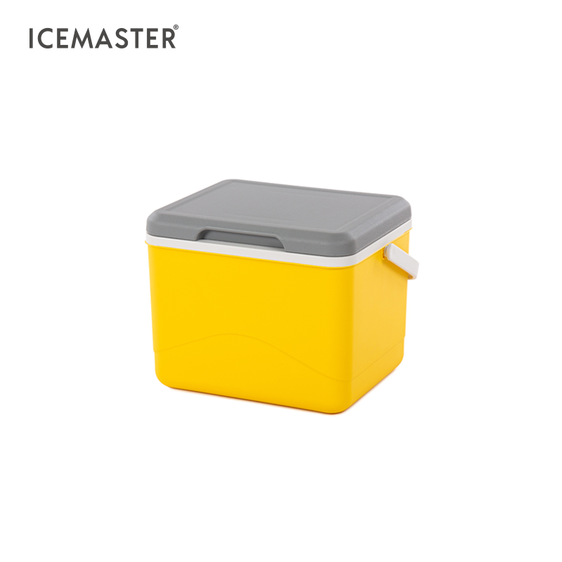 IceMaster Patented Design 5l 6cans Wholesale Cooler Beige Green Brown White Yellow Small Ice Chest Cool Box