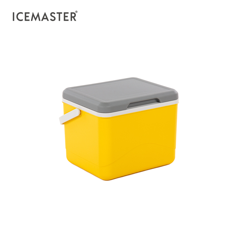 IceMaster Patented Design 5l 6cans Wholesale Cooler Beige Green Brown White Yellow Small Ice Chest Cool Box