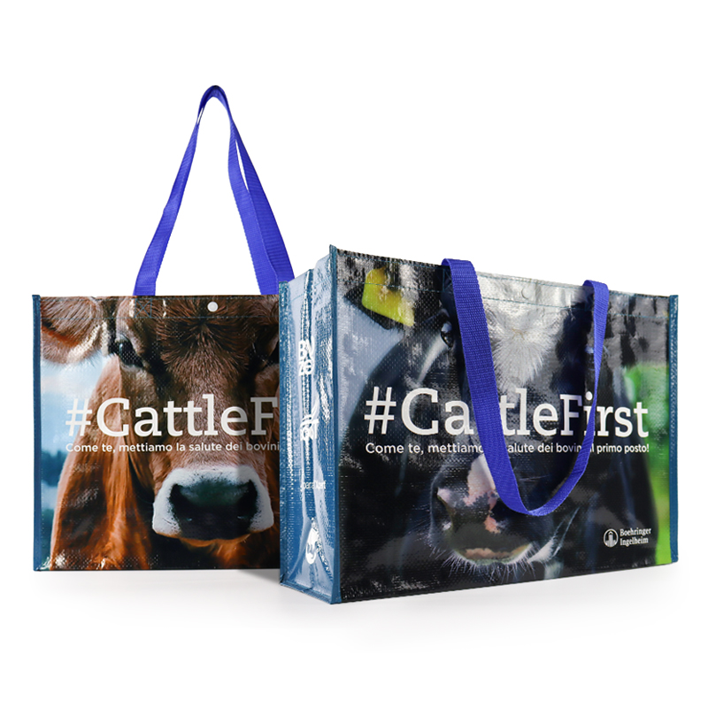 Custom Reusable Grocery Personalized Eco Friendly Non Woven Handled Shopping PP 120gsm 140gsm PP Woven Tote Bag