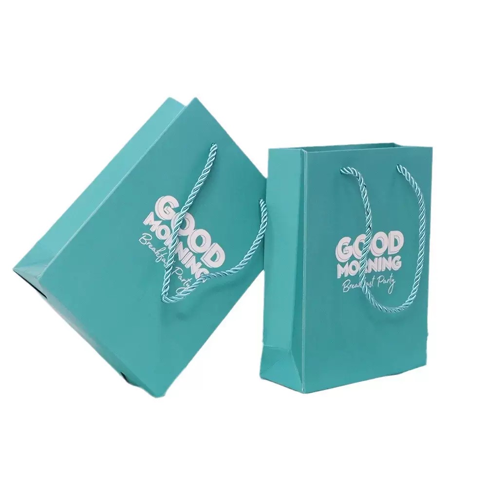 Factory Custom Large Shopping Packing Bags Wholesale 250 Gsm Art Paper Bag for Clothes Shoes with Handle
